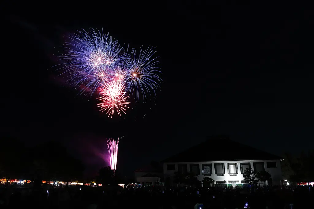 令和8年度 さいたま市花火大会 岩槻文化公園会場